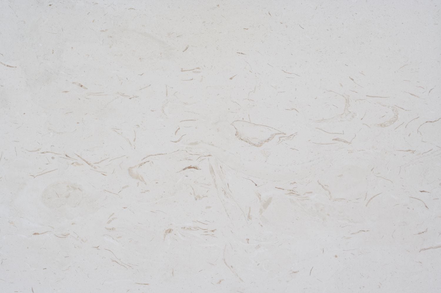 CORINTHIAN FOSSIL